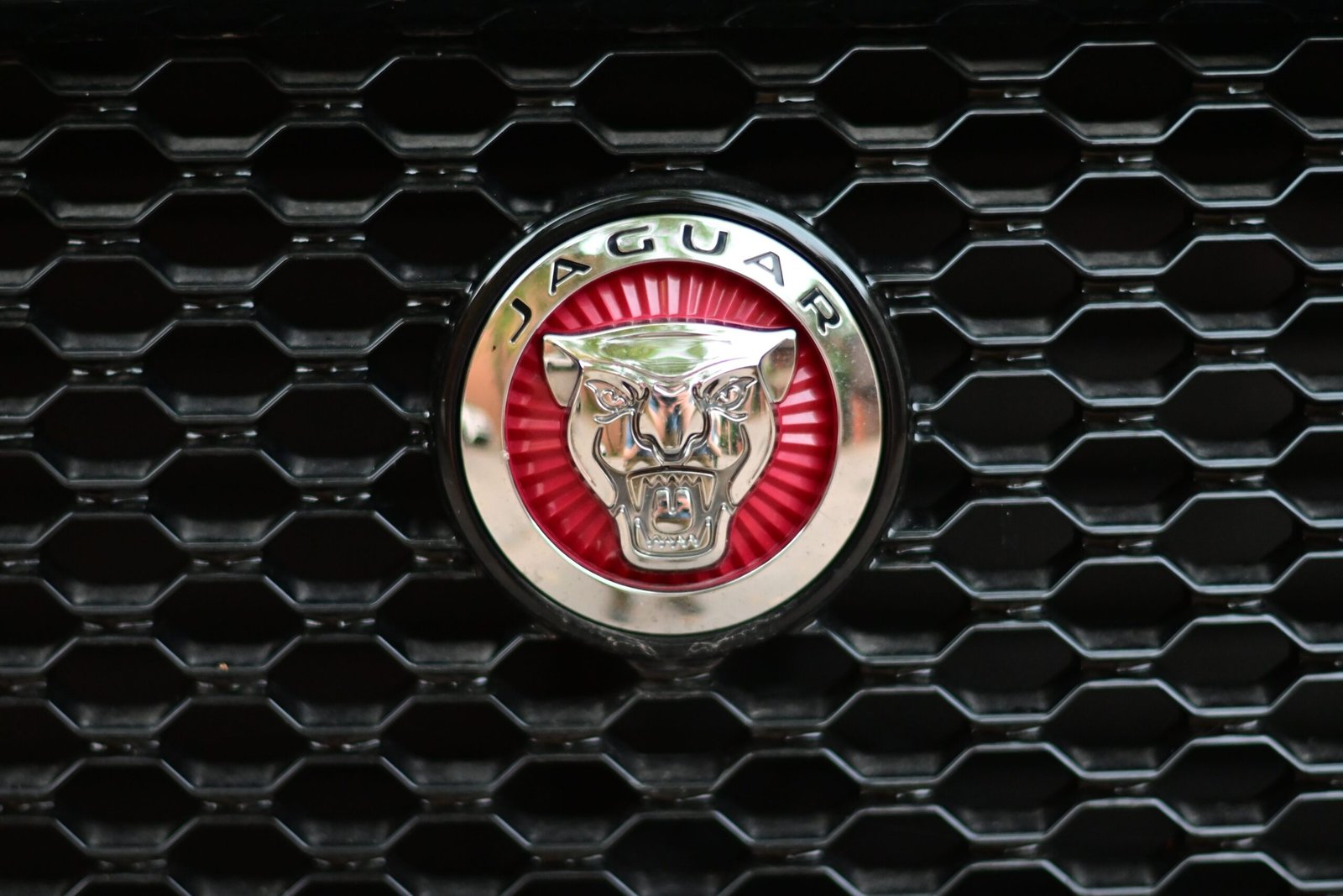 Home Detailed shot of the Jaguar logo on a car grille. Perfect for automotive themes.